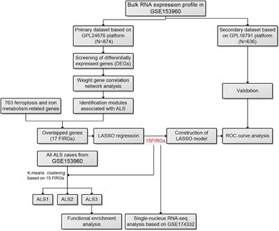 A conjoint analysis of bulk RNA-seq and single-nucleus RNA-seq for revealing the role of ferroptosis and iron metabolism in ALS